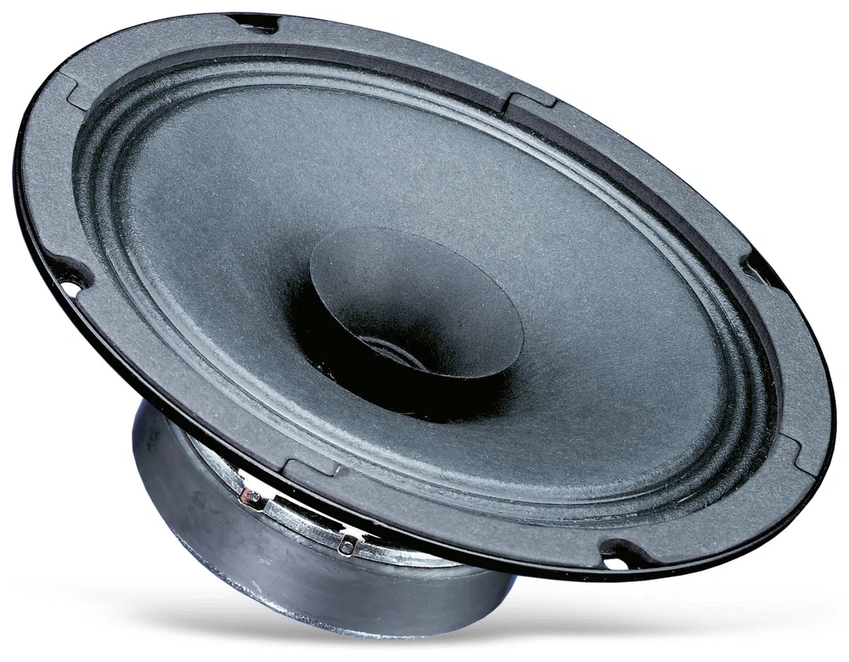 Visaton VS-BG17 - Hauts-parleurs (1.0 canaux, 40 W, 80 – 20000 Hz, 8 Ohm, Noir)