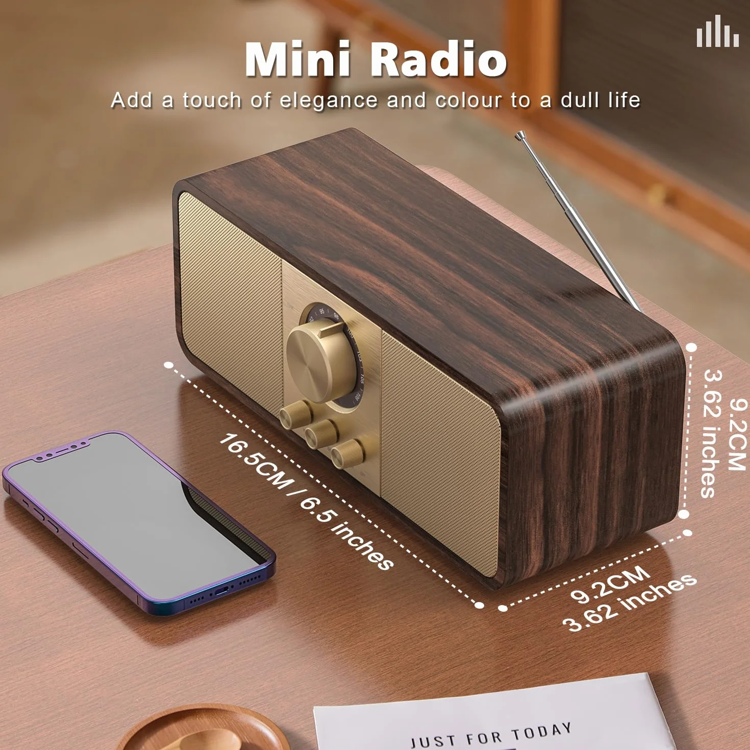 Radio Vintage, Radios Rétro avec Bluetooth et Carte TF, Alimentation par Batterie 3000mAH, avec 2 Woofers de 8 Watts, Radios Rétro avec AUX/USB, Radio Cuisine/Chambre/Bureau