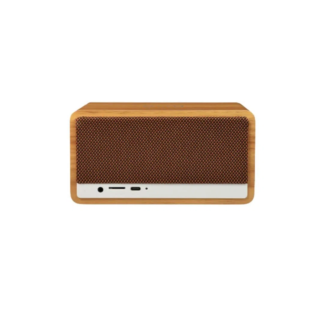 Halterrego Enceinte Bluetooth avec Charge Induction Qi 15W. BT V5.0, RMS 10W, FM, Aux in, lectuer de Carte Micro SD, Batterie Rechargeable de 2200mAh.
