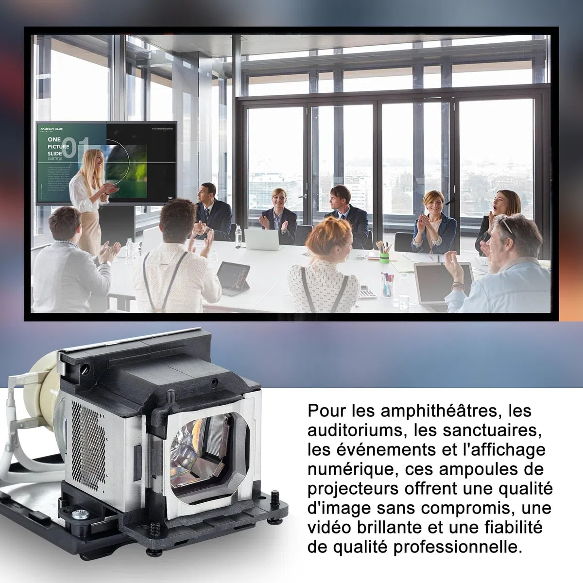 Lampe de Vidéoprojecteur pour Sony LMP-E220 VPL-SW630 VPL-SX630 VPL-SW620 VPL-SW620C VPL-SW630C VPL-SW630M VPL-SW631CM VPL-SW631C VPL-SW631M VPL-SW631 VPL-SW635C VPL-SW636C VPL-SX631 LMPE220