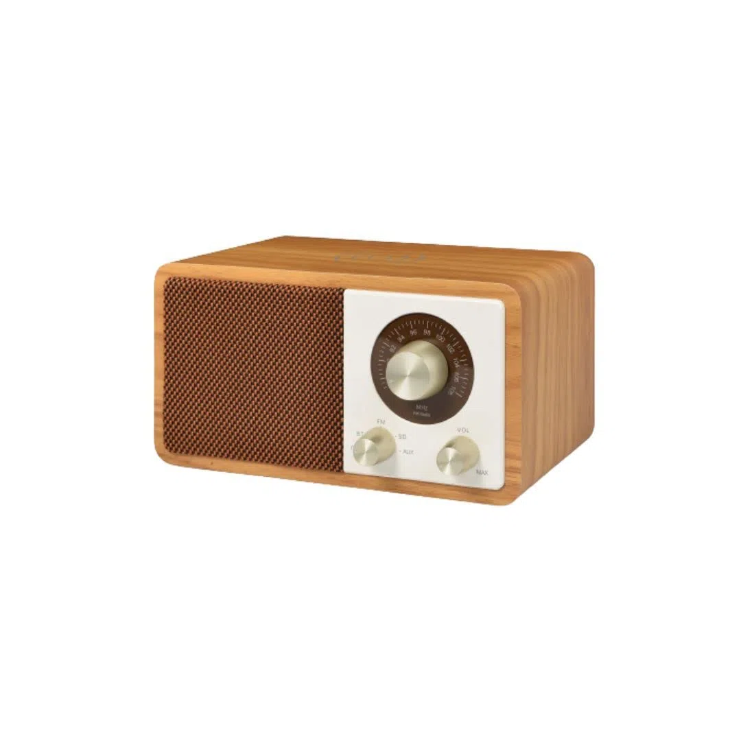 Halterrego Enceinte Bluetooth avec Charge Induction Qi 15W. BT V5.0, RMS 10W, FM, Aux in, lectuer de Carte Micro SD, Batterie Rechargeable de 2200mAh.